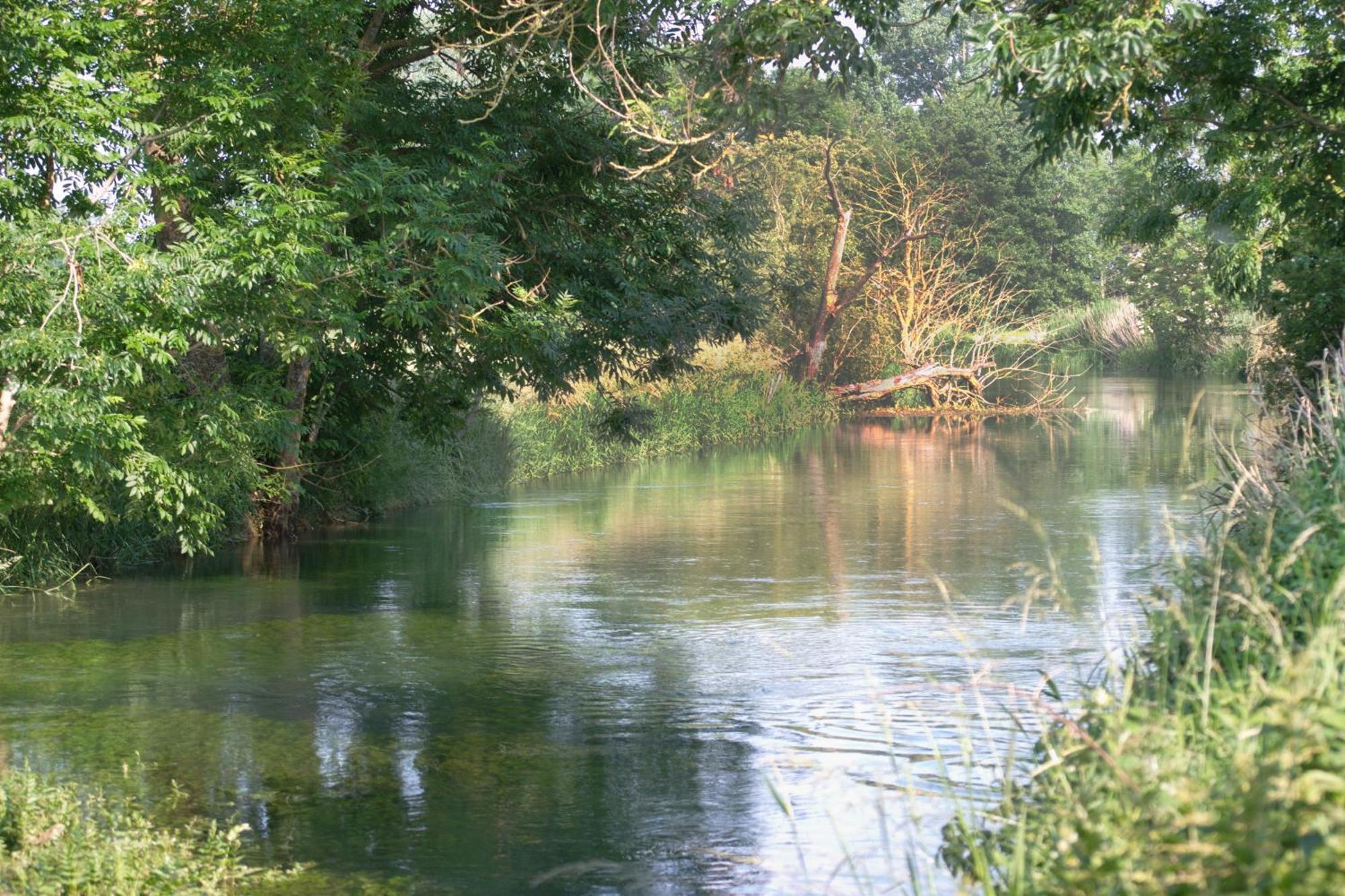 Landgasthof Adler Rammingen Buitenkant foto